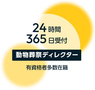 24時間365日受付中