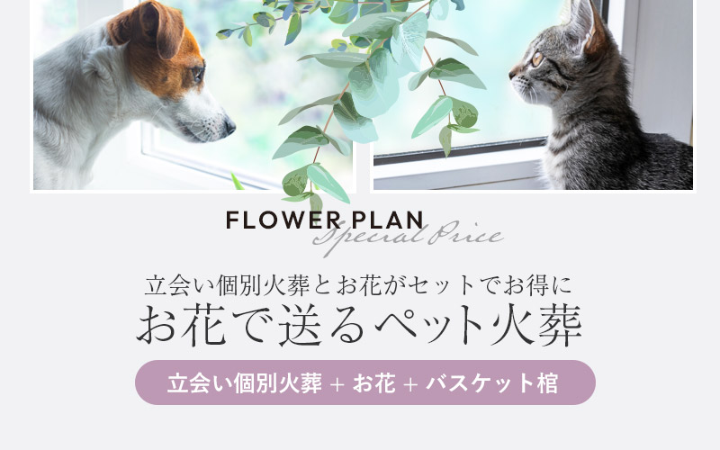 お花で送るペット火葬