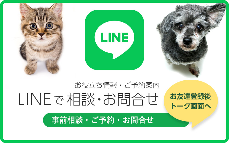 LINEで相談・お問合せ