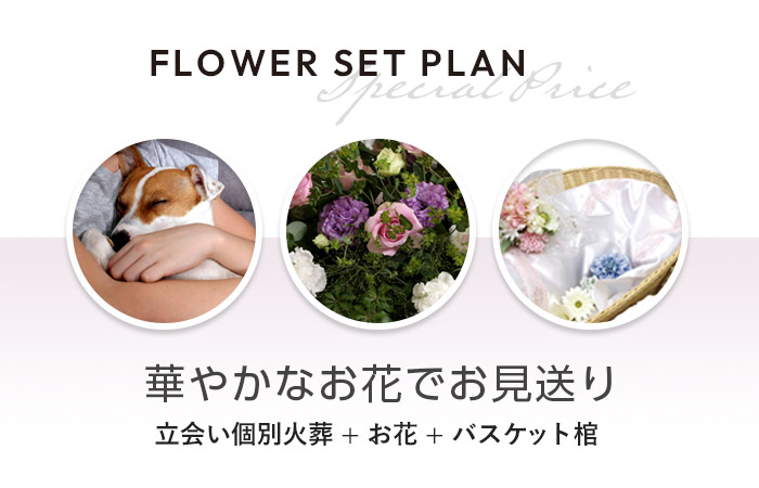 お花で送るペット葬プラン