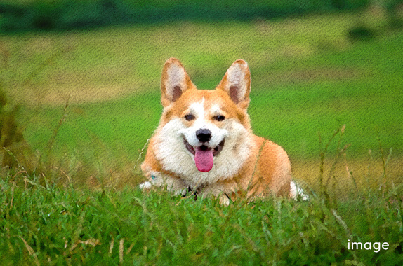 kikiちゃん