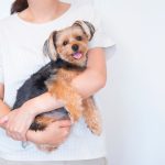 犬が抱っこを嫌がる理由とは？正しい抱き方や苦手な場合の対処法