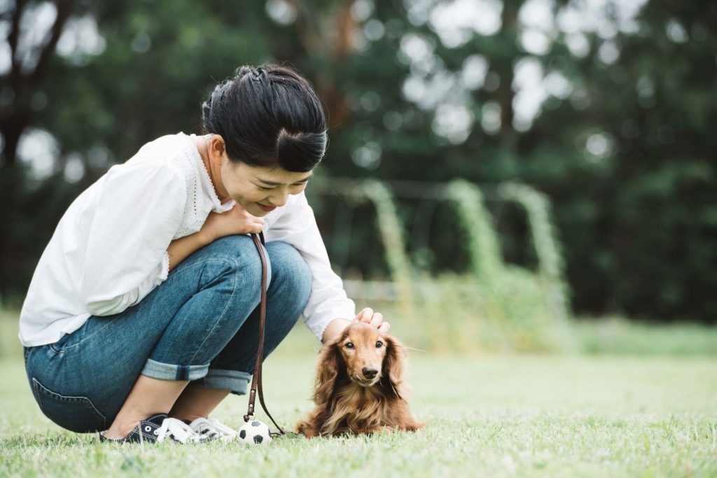 犬が抱っこを嫌がらないようにするには？