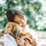 老犬にも散歩は必要？最適な運動量と注意すべきポイントを解説