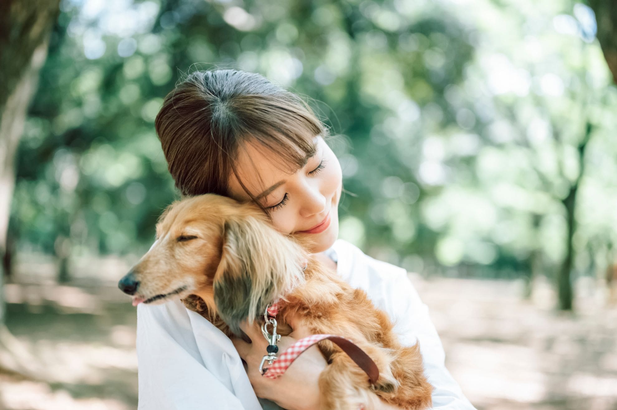 老犬にも散歩は必要？最適な運動量と注意すべきポイントを解説
