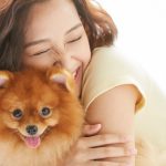 愛犬の長生きのためにスキンシップを取ろう！効果的な3つの方法