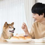 【専門家執筆】犬に人間の食べ物を与えてはいけない４つの理由｜NGな食品も