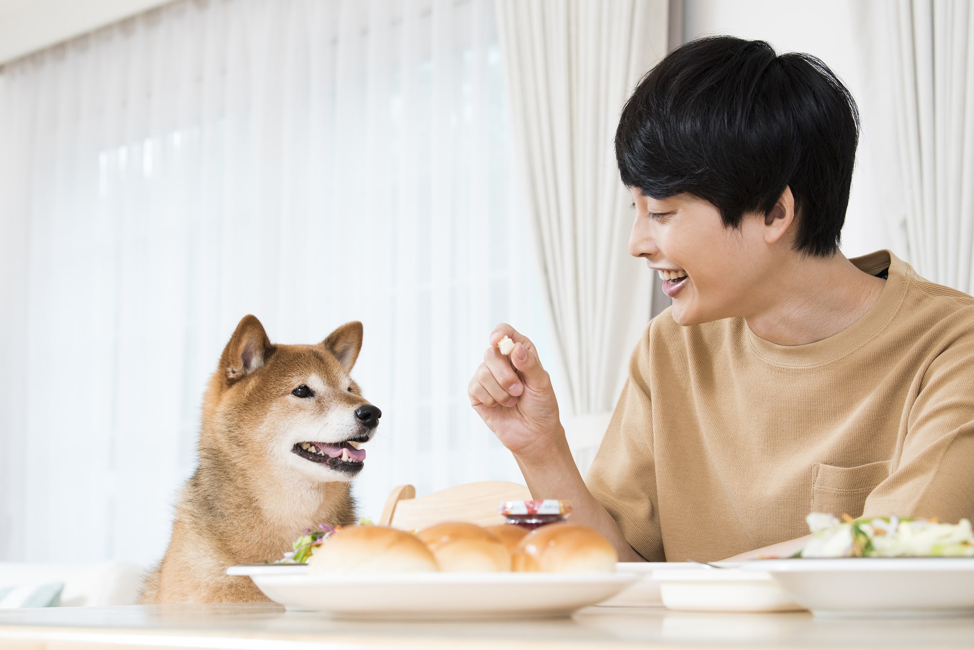 【専門家執筆】犬に人間の食べ物を与えてはいけない４つの理由｜NGな食品も