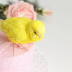 インコが亡くなった時のお火葬方法