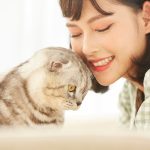 一人暮らしで猫を迎える前に考えるべきこと・用意すべきものとは？