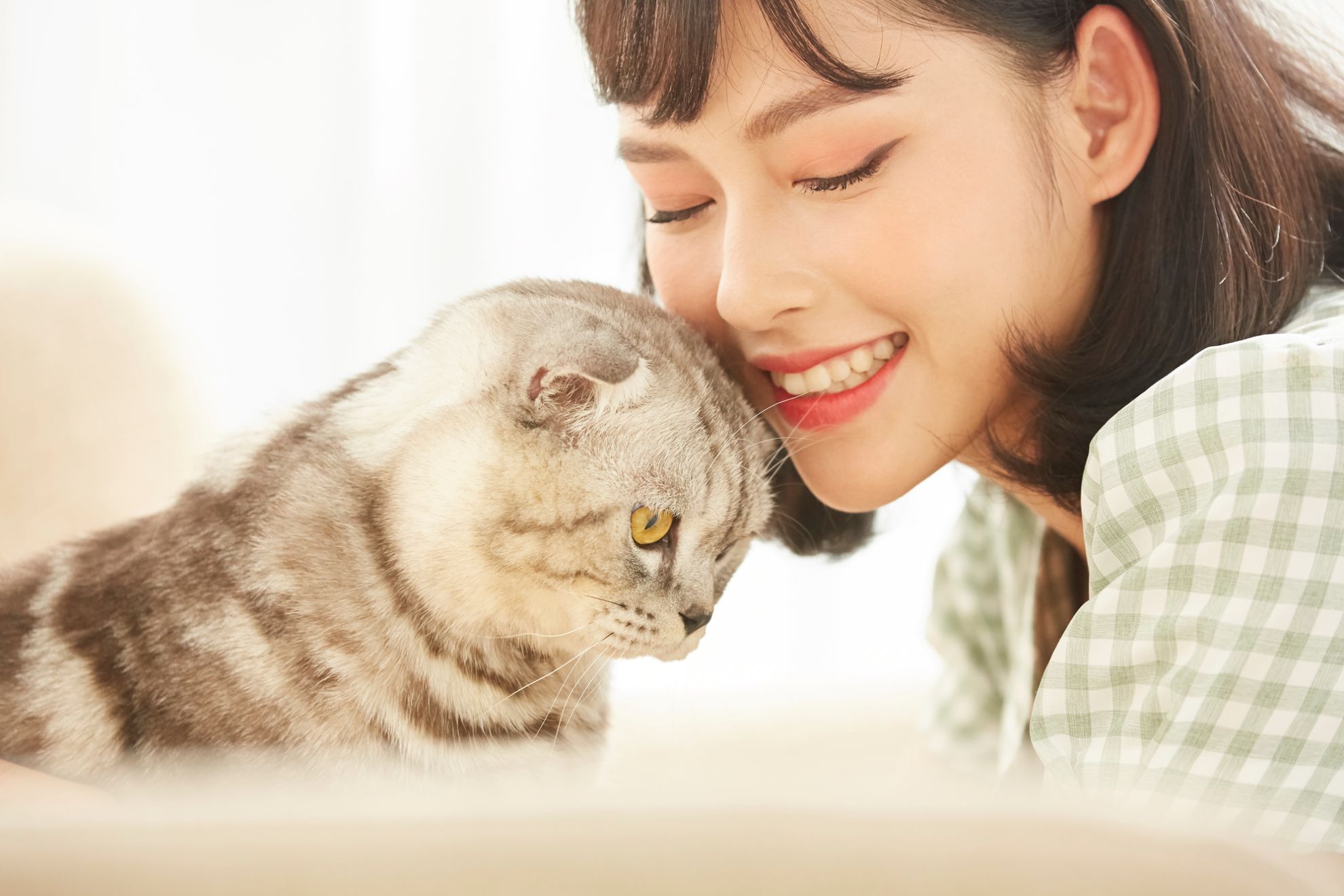 一人暮らしで猫を迎える前に考えるべきこと・用意すべきものとは？