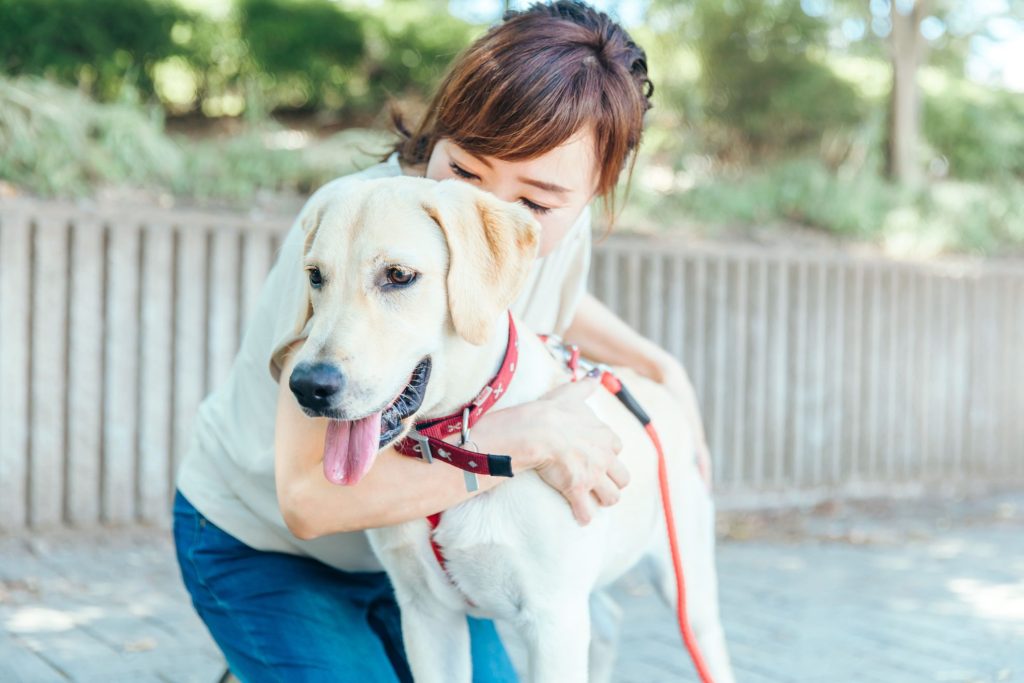 一人暮らしで犬を飼う前に確認したいポイント