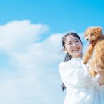 一人暮らしでも犬は飼える？迎える前に確認すべきポイントをチェック