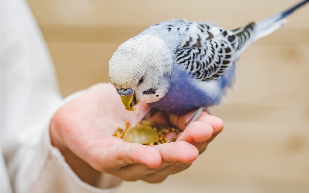 食事に気をつかう