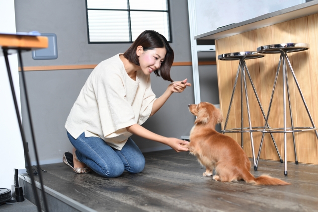 顔を舐めさせたくない時の対処法