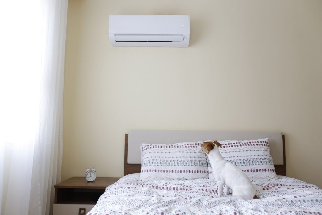 犬が快適に過ごせるエアコンの利用方法