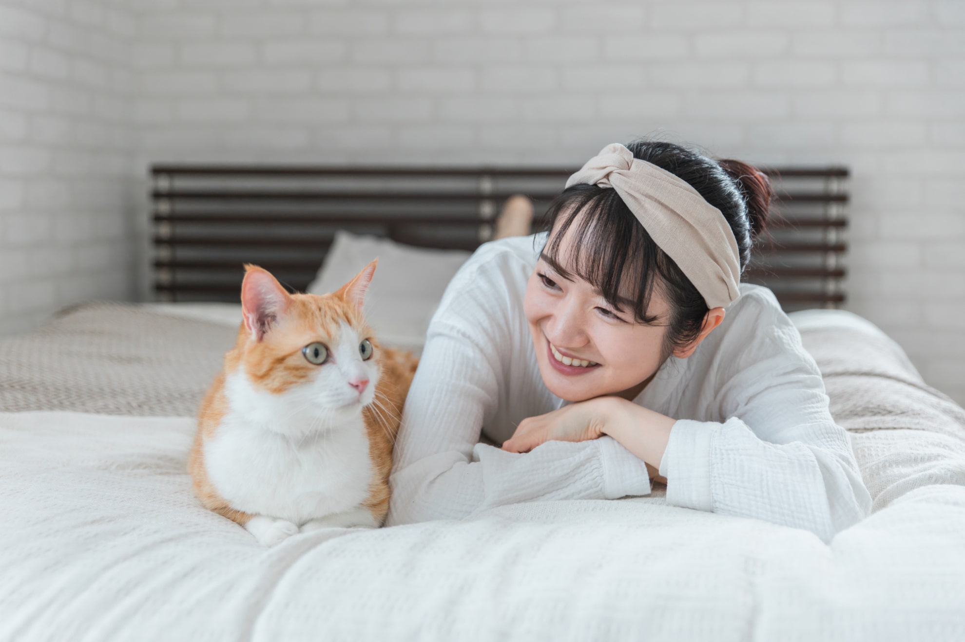 猫と一緒に寝る時の注意点は？猫が飼い主と寝る時の心理や一緒に寝るための方法