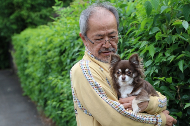 老犬ホームが必要な理由