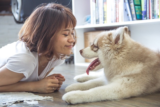 海外のペットに対する見方