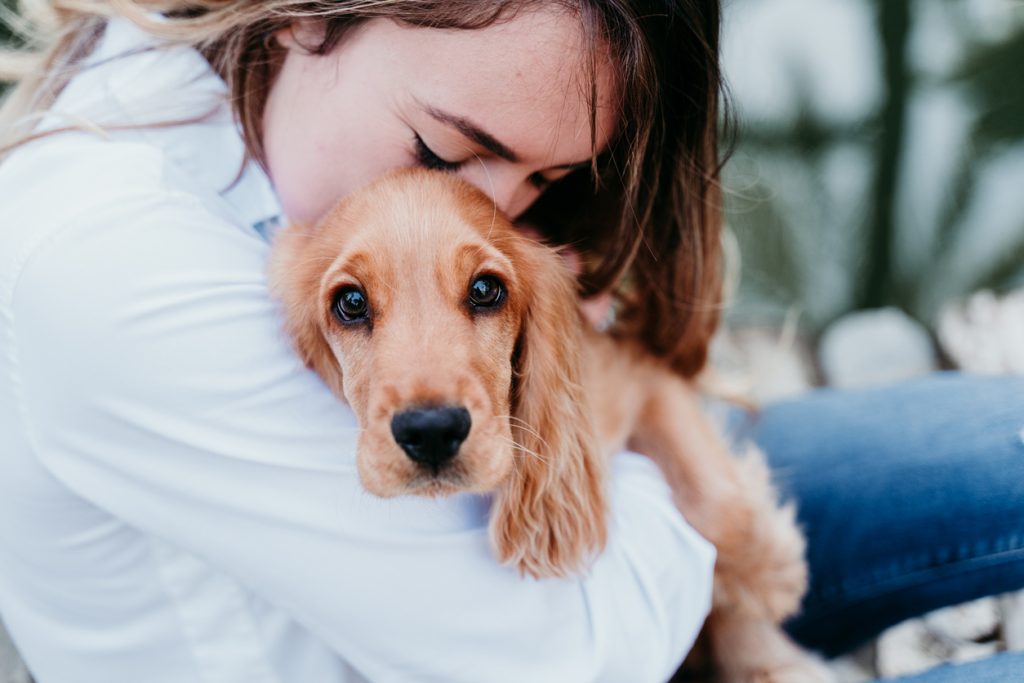 旅立った愛犬に「ありがとう」を伝えるためにできる4つのこと