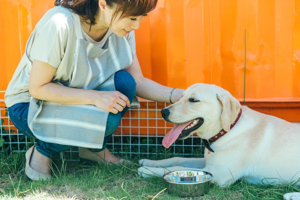 犬を飼う時に気をつけること（飼育編）