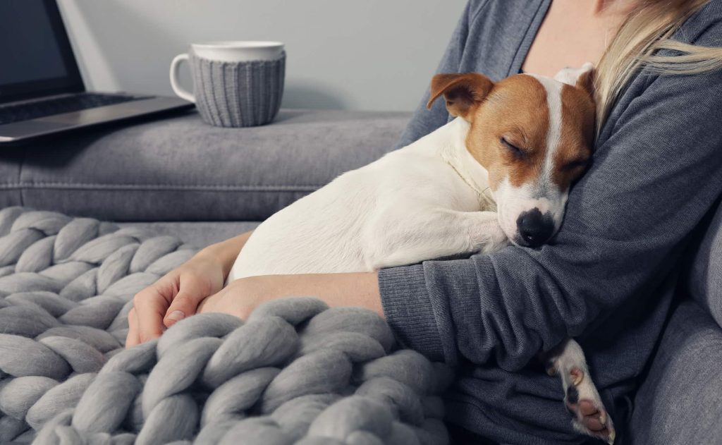 犬の病気を防ぐために飼い主がすべきこと