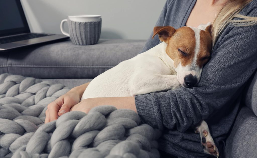 犬の飼い主が日頃からチェックしてあげたほうが良い症状