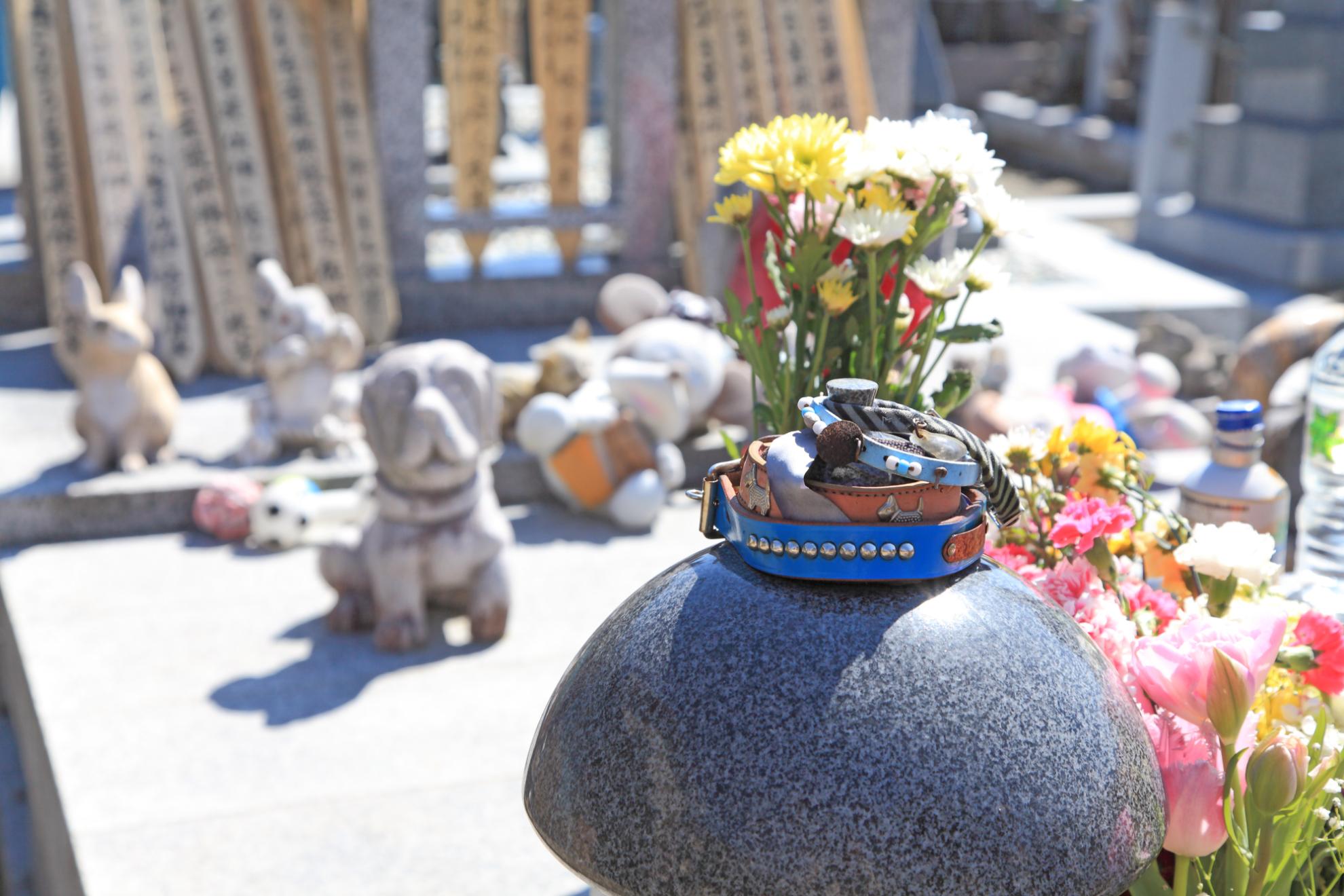 ペットのお墓の選び方｜ご遺骨を埋葬する場所や供養方法