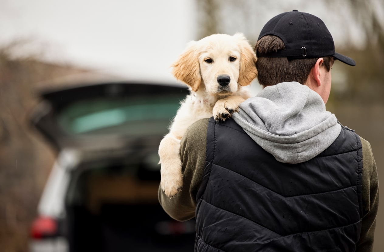 災害時に愛犬と避難する方法とは？万が一に備えて今すぐできることも解説
