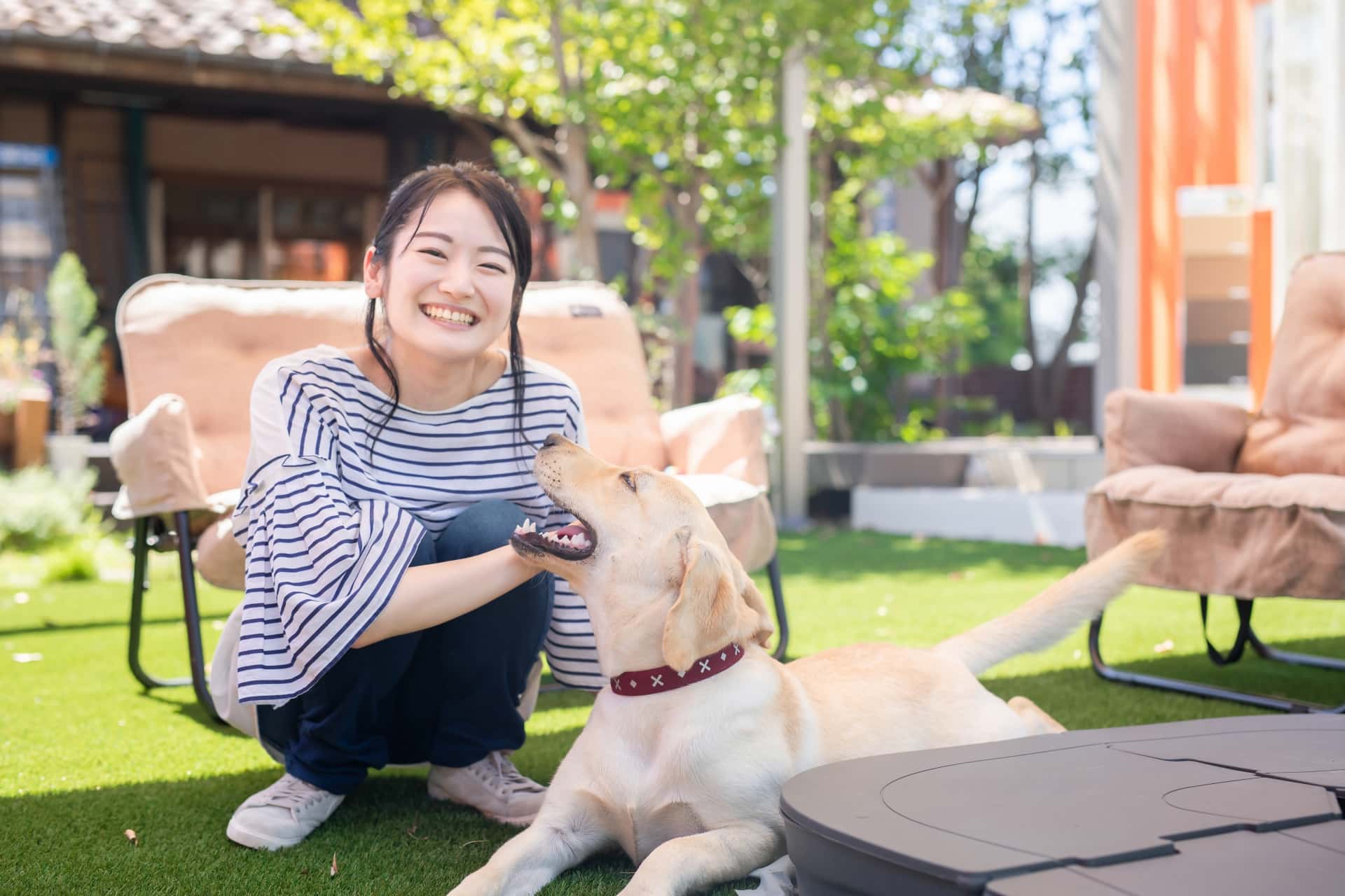 初対面で犬に好かれる接し方6選！ポイントとNG行為を伝授