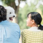 犬は避妊をすべきなの？メリットと時期、手術後の接し方について