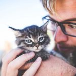 猫の飼うのに必要な年収は？猫の飼い主様の平均賃金も調査