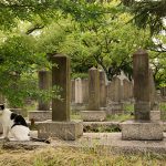 ペットを庭に埋めるのは風水で悪い？風水視点の良し悪しを解説