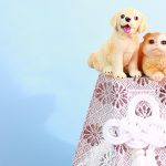 ペットを火葬したあと遺骨はどうする？供養する方法を解説